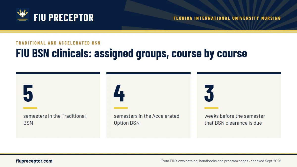 FIU BSN clinicals: assigned groups, course by course. 5: semesters in the Traditional BSN; 4: semesters in the Accelerated Option BSN; 3: weeks before the semester that BSN clearance is due.